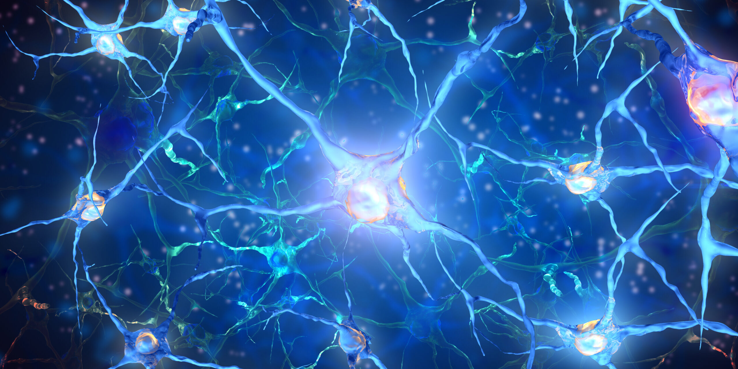 digirockit human signal