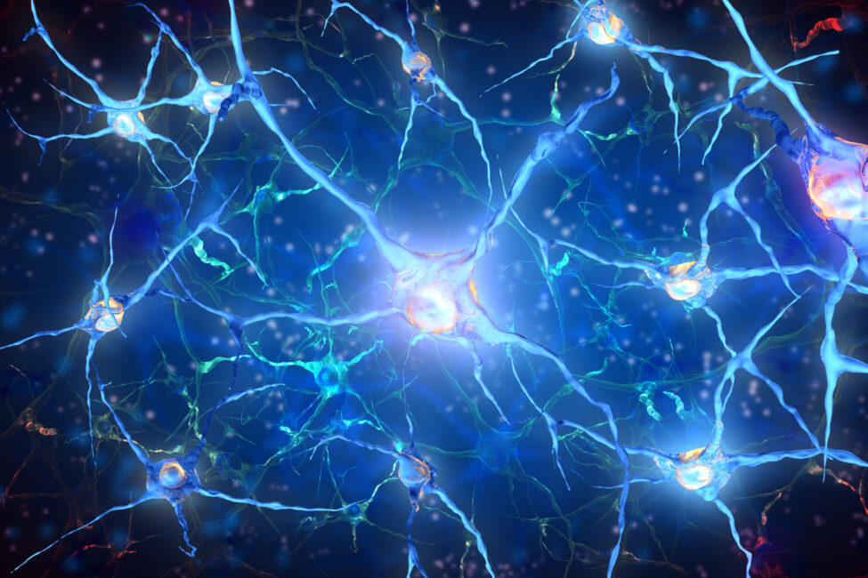 digirockit human signal